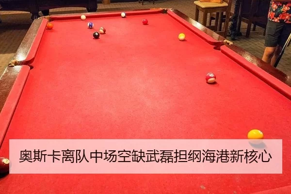 ao-si-ka-li-dui-zhong-chang-kong-que-wu-lei-dan-gang-hai-gang-xin-he-xin-3-902.jpg